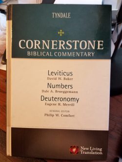 Thoughts on Moving from Numbers to Deuteronomy