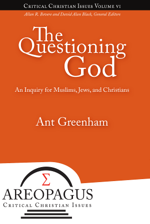Cover image of The Questioning God book